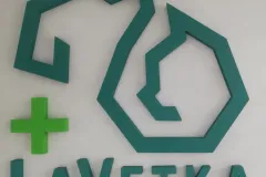 lavetka_0009