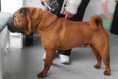 IMG-20250530-WA0014