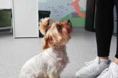 IMG-20250530-WA0016