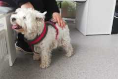 IMG-20250530-WA0017
